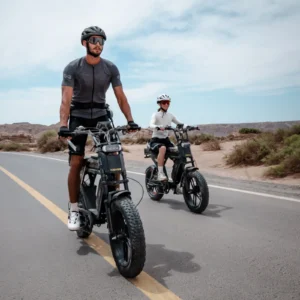 KG05 - Ebike